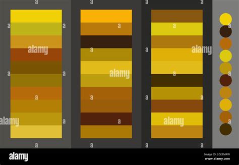 Golden Color Palette Vector Set Trendy Colors Swatche - vrogue.co