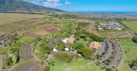 Maui Tropical Plantation | Waikapu, Central Maui