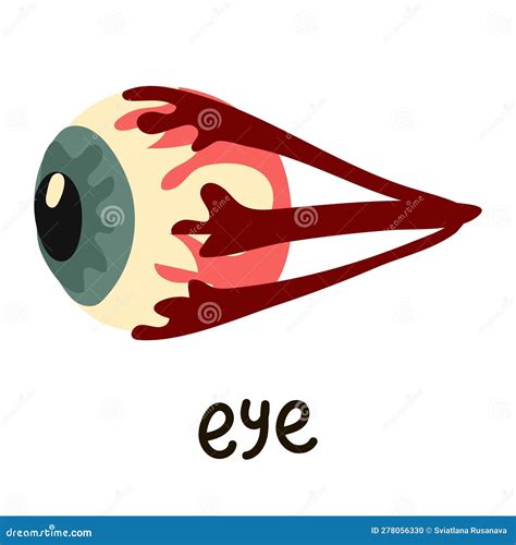 Illustration Of The Eyeball Anatomy In A Simple Cartoon Style. Anatomy ...