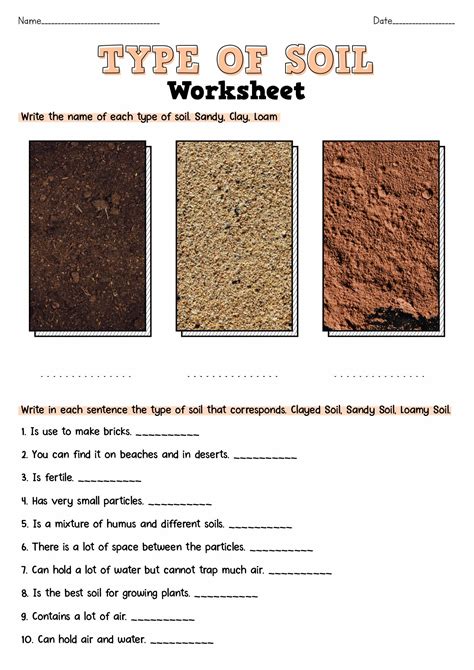 Layers Of Soil Worksheet | Soil layers, Types of soil, Third grade science worksheets