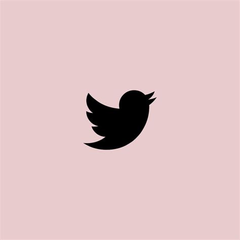 Twitter Logo, Twitter App, Twitter Icon, Ios App Icon, Pink Iphone, Iphone Icon, Beauty Room ...