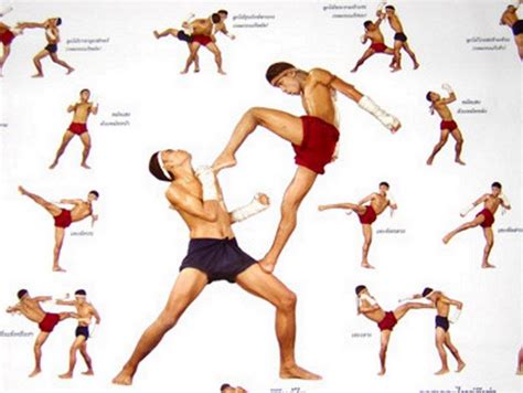 Movimientos basicos | Muay thai, Muay thai techniques, Martial arts ...