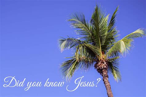 Did You Know Jesus? - Express Success and Dr. Joy Pedersen Spiritual ...