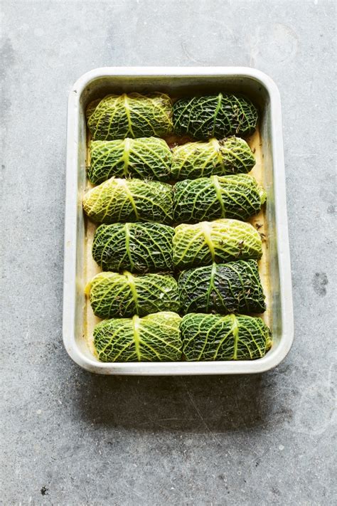 Stuffed Savoy Cabbage Leaves | Guest Recipes | Nigella's Recipes | Nigella Lawson