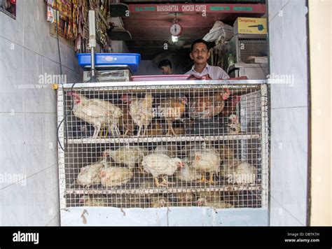 Man selling live chickens in hi-res stock photography and images - Alamy