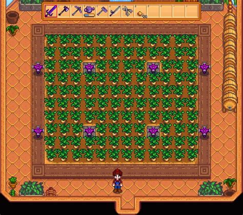 Iridium Sprinkler Range - Everything About Stardew Sprinklers