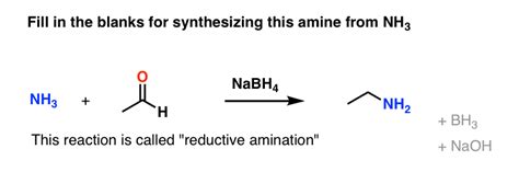 Alkylation of Amines Is A Shite Reaction — Master Organic Chemistry