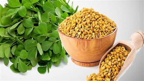 Methi Seeds | Glamour Nepal