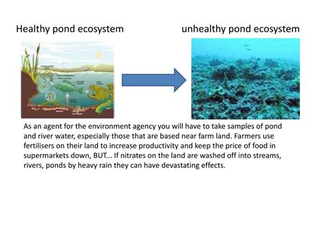 PPT - Pollution and Bio-indicators PowerPoint Presentation, free download - ID:5368989