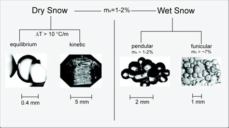 1 Diagram showing snow metamorphism in dry and wet snow. Dry and wet... | Download Scientific ...