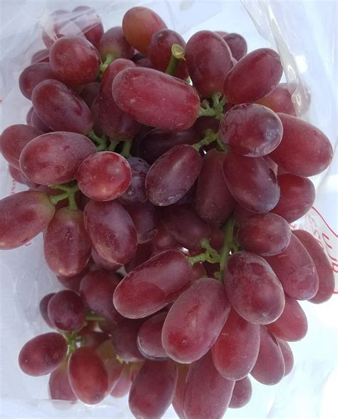 Red Seedless Grapes