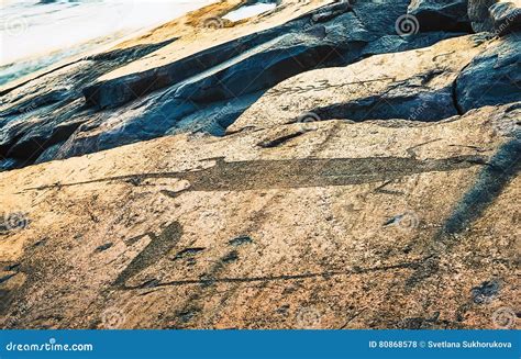 Otter and Swan - Symbols of Onega Petroglyphs on the Cape Besov Stock Photo - Image of human ...