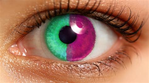 8 RAREST Eye Colors In Humans! - YouTube