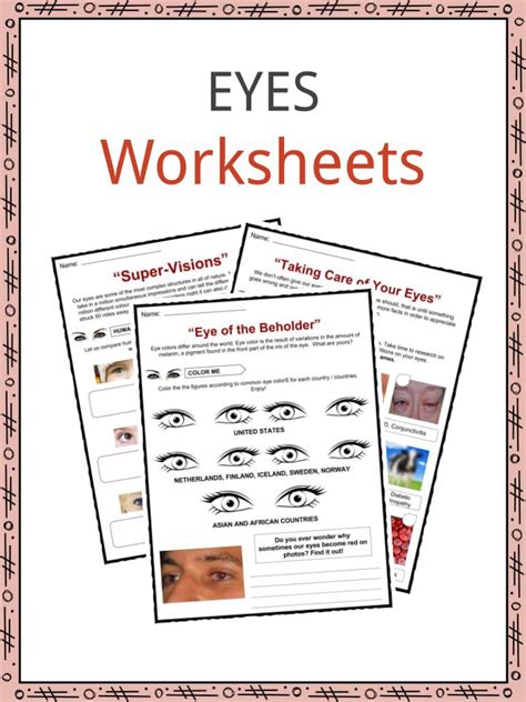 Eyes Anatomy, Health, Function, Facts, Worksheets & Information For Kids