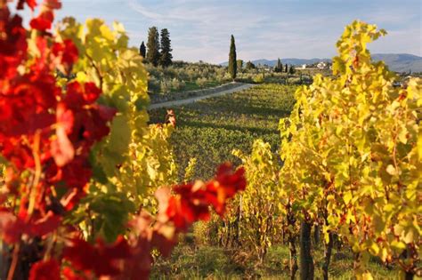 Special Tuscan Wine Tour Florence - Angela Personal Tuscan Tour