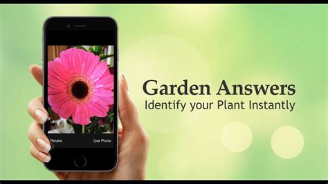 My Garden Answers: Identify Your Plant Instantly - YouTube