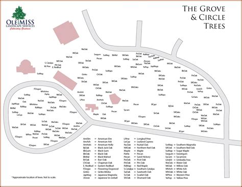 Ole Miss Campus Map Printable