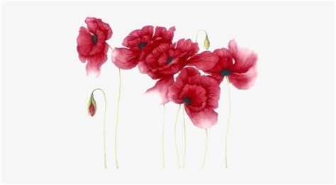 Red Watercolor Flowers Png Transparent PNG - 447x373 - Free Download on NicePNG