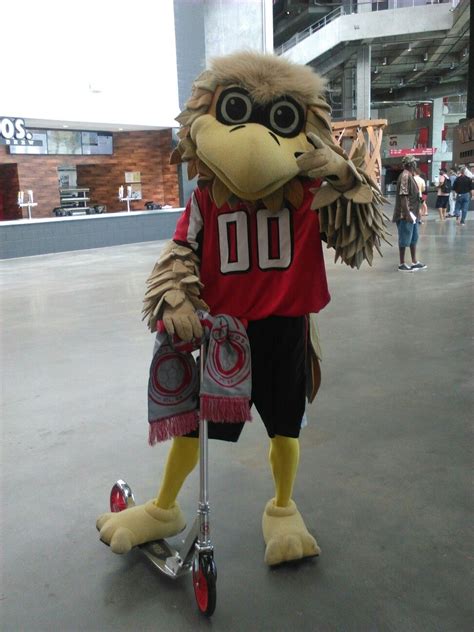 Freddie, The Falcon, in the new Mercedes Benz Stadium. | Atlanta falcons, New mercedes, Atlanta