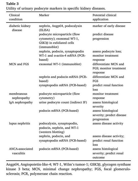 Urinary Podocyte Markers in Kidney Diseases - Kidney - News - Chengdu ...