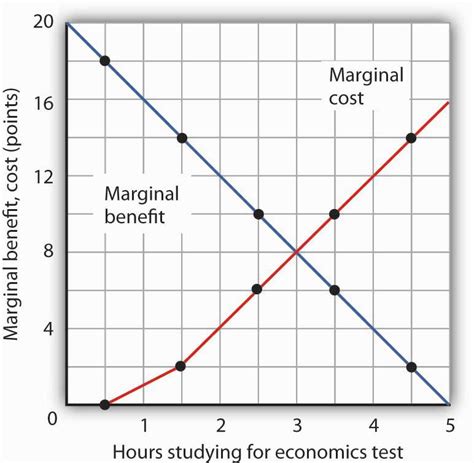 The Logic of Maximizing Behavior