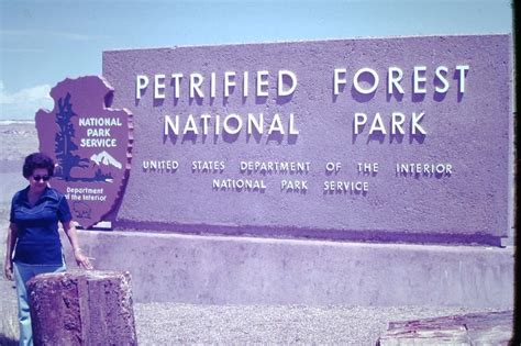 Entering Petrified Forest | Petrified forest national park, Petrified forest, National park service