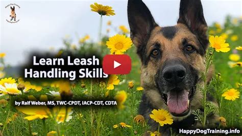 Learning Video: Learn Leash Handling Skills | Happy Dog Training