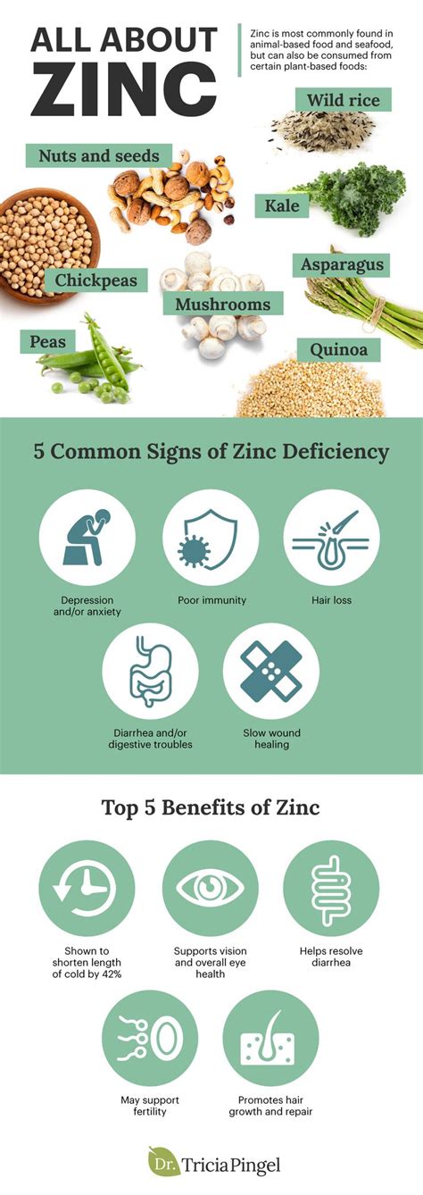 All About Zinc | Zinc benefits, Daily health tips, Health