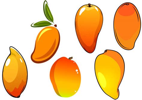 Mango Cartoon Clip Art, Vector Images & Illustrations - iStock