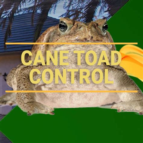 Cane Toad Control – Ensystex.com.au