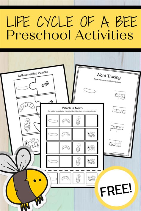 Here are your life cycle of a bee for kids worksheets! - Homeschool Preschool