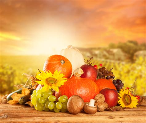 Free Harvest Background Cliparts, Download Free Harvest Background ...