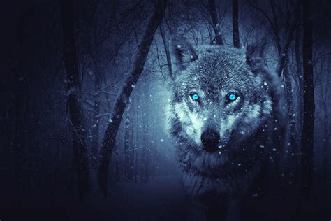 Fantasy Wolf 5k Wallpaper,HD Artist Wallpapers,4k Wallpapers,Images,Backgrounds,Photos and Pictures