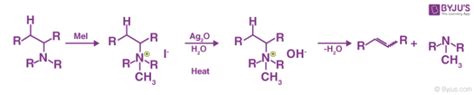 Hofmann Elimination - Step-by-step Mechanism, Illustrations