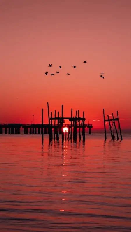 Cedar Key Beaches: A Haven for Nature Lovers – Wild