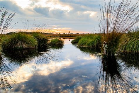 The Great Marsh Preserve | Things to Do in Rehoboth Beach Delaware