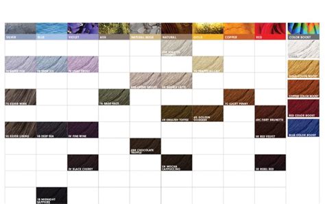 pravana chromasilk color chart - Corina Mccormack