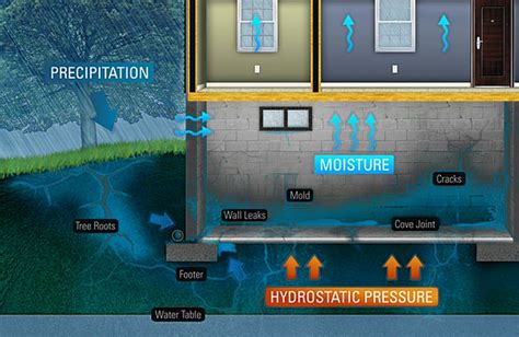 Basement Flooding Solutions - Openbasement