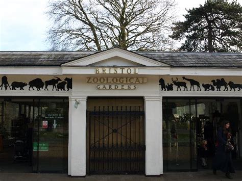 Zoo entrance - Picture of Bristol Zoo Gardens, Bristol - TripAdvisor