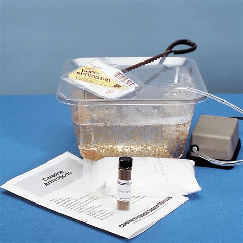 Brine Shrimp Hatchery Kit | Carolina.com