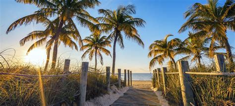 South Florida's Greatest Beaches (and How to Visit Them in a Single Trip!)