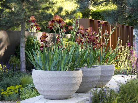 Best Large Planters | OutsideModern