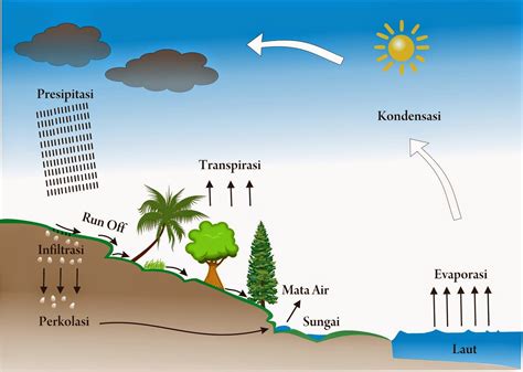 Proses Pada Siklus Air - IMAGESEE