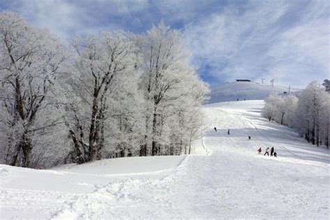 Bakuriani Ski Resort | Bakuriani Packages | 2023 - 2024