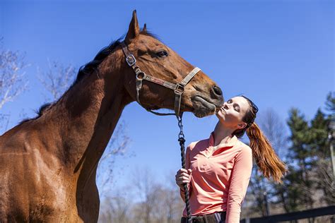 10 Ways Horses Are Just Like Your Dogs and Cats! | ASPCA