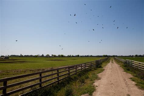 Will Harris & White Oak Pastures Farm: The Dirt Underneath — THE BITTER ...