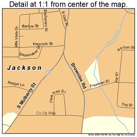 Jackson Georgia Street Map 1341596