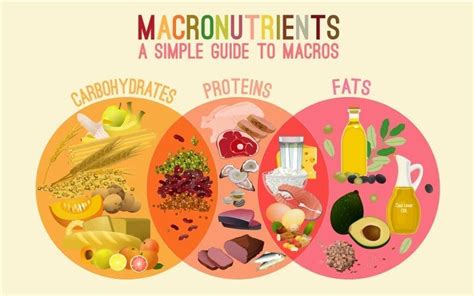 Macronutrients: A Simple Guide to Macros | Avita Health System