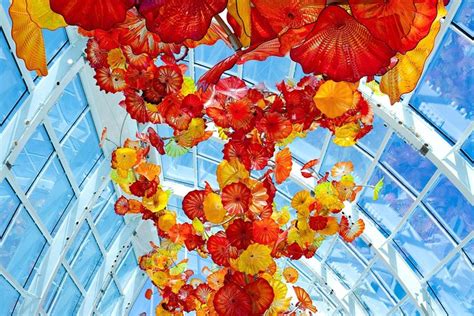 Seattle Chihuly Garden and Glass Exhibit Admission 2024