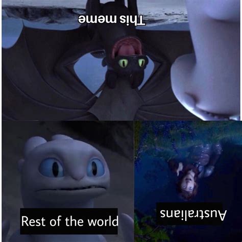 Toothless Httyd Memes